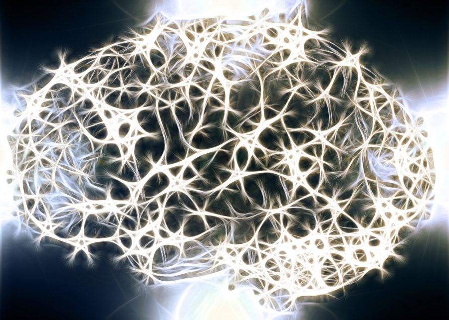 Astrocytes